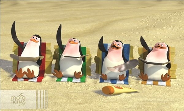 pinguinos 2016 verano