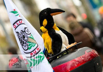 Fotos Turismoto y Pingüinos regresan a Valladolid en 2017