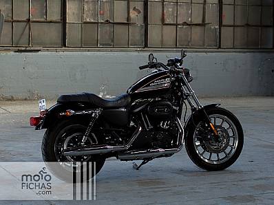Fotos Harley-Davidson Sportster Iron 883 R 2013