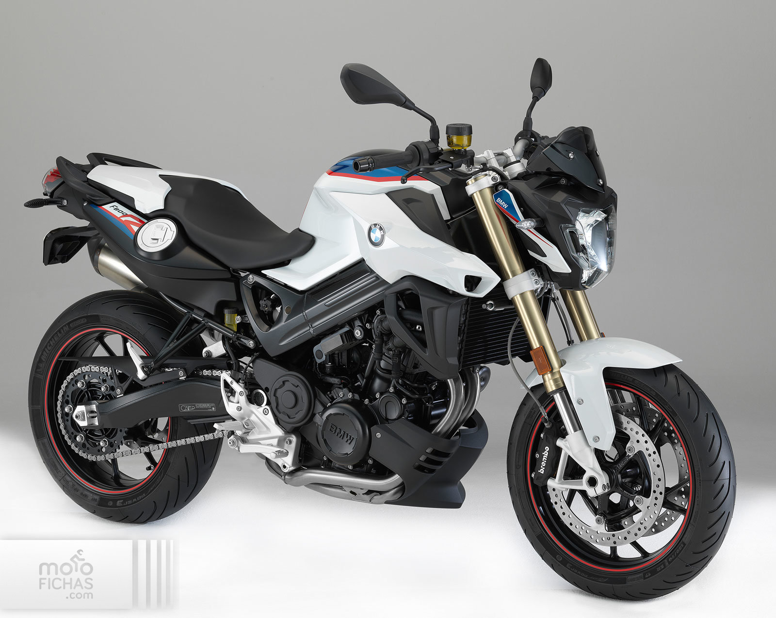 Rústico Pizza Nuez ▷ BMW F 800 R | Akrapovic 2017-2019 - Precio, ficha técnica, opiniones y  ofertas