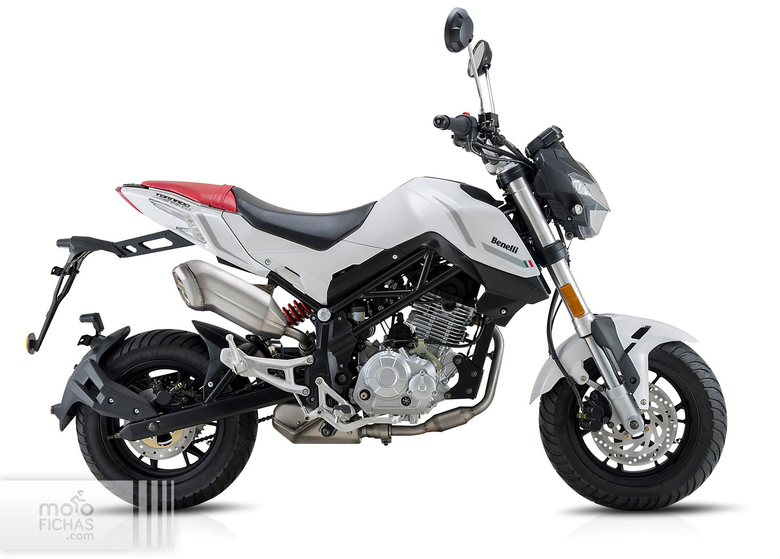 Comparativa Benelli Tornado Naked TNT 125 20182020 Honda MSX125 20172020
