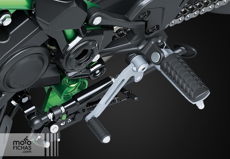 kawasaki z900 2025 detalles 13