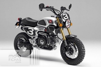 Fotos Honda MSX 50 Scrambler: esencia en frasco pequeño