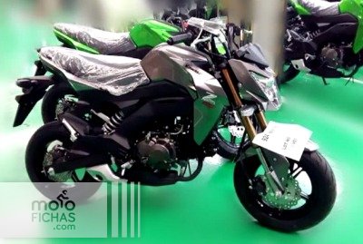 Kawasaki Ninja 125 - Estela verde - Moto125