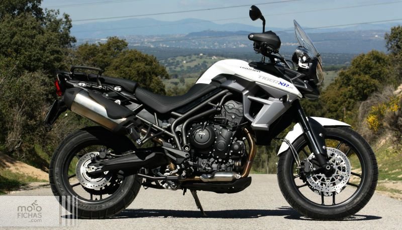 prueba triumph tiger 800 xrx estatica texto