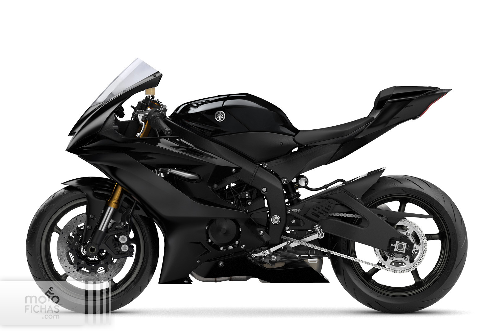 ▷ Yamaha YZF-R6 Race 2021-2024 Precio, ficha técnica, opiniones