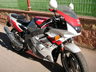 fzr600